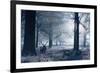 A Large Red Deer Stag And Fawn, Cervus Elaphus, Make Their Way Through Richmond Park At Dawn-Alex Saberi-Framed Photographic Print