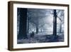 A Large Red Deer Stag And Fawn, Cervus Elaphus, Make Their Way Through Richmond Park At Dawn-Alex Saberi-Framed Photographic Print