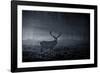 A Large Red Deer Stag, Cervus Elaphus, In Richmond Park At Dawn-Alex Saberi-Framed Photographic Print