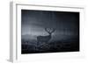 A Large Red Deer Stag, Cervus Elaphus, In Richmond Park At Dawn-Alex Saberi-Framed Photographic Print