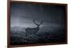 A Large Red Deer Stag, Cervus Elaphus, In Richmond Park At Dawn-Alex Saberi-Framed Photographic Print