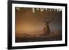 A Large Red Deer Stag, Cervus Elaphus, In Richmond Park At Dawn-Alex Saberi-Framed Photographic Print