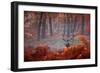 A Large Red Deer Stag, Cervus Elaphus, Stands In Richmond Park At Dawn-Alex Saberi-Framed Photographic Print