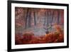 A Large Red Deer Stag, Cervus Elaphus, Stands In Richmond Park At Dawn-Alex Saberi-Framed Photographic Print