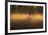 A Large Red Deer Stag, Cervus Elaphus, Stands In Richmond Park At Dawn-Alex Saberi-Framed Photographic Print