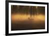 A Large Red Deer Stag, Cervus Elaphus, Stands In Richmond Park At Dawn-Alex Saberi-Framed Photographic Print