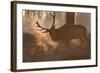 A Large Red Deer Stag Makes His Way Through the Early Morning Mists in Richmond Park-Alex Saberi-Framed Photographic Print