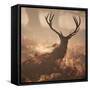 A Large Red Deer Stag Waits in the Early Morning Mists of Richmond Park-Alex Saberi-Framed Stretched Canvas