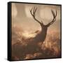 A Large Red Deer Stag Waits in the Early Morning Mists of Richmond Park-Alex Saberi-Framed Stretched Canvas