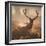 A Large Red Deer Stag Waits in the Early Morning Mists of Richmond Park-Alex Saberi-Framed Photographic Print