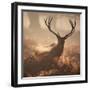 A Large Red Deer Stag Waits in the Early Morning Mists of Richmond Park-Alex Saberi-Framed Photographic Print