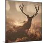 A Large Red Deer Stag Waits in the Early Morning Mists of Richmond Park-Alex Saberi-Mounted Photographic Print