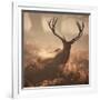 A Large Red Deer Stag Waits in the Early Morning Mists of Richmond Park-Alex Saberi-Framed Photographic Print