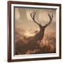 A Large Red Deer Stag Waits in the Early Morning Mists of Richmond Park-Alex Saberi-Framed Photographic Print