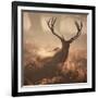 A Large Red Deer Stag Waits in the Early Morning Mists of Richmond Park-Alex Saberi-Framed Photographic Print