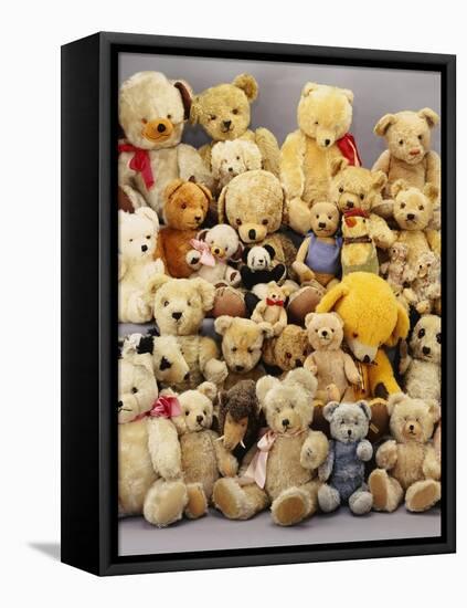 A Large Selection of Teddy Bears-null-Framed Stretched Canvas