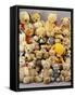 A Large Selection of Teddy Bears-null-Framed Stretched Canvas