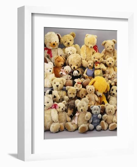 A Large Selection of Teddy Bears-null-Framed Giclee Print