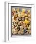 A Large Selection of Teddy Bears-null-Framed Giclee Print