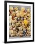 A Large Selection of Teddy Bears-null-Framed Giclee Print