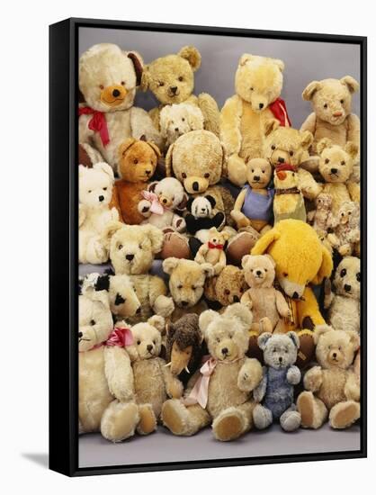 A Large Selection of Teddy Bears-null-Framed Stretched Canvas