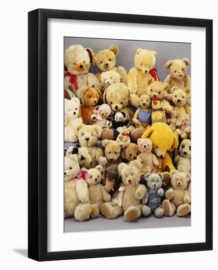 A Large Selection of Teddy Bears-null-Framed Giclee Print