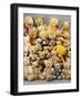 A Large Selection of Teddy Bears-null-Framed Giclee Print