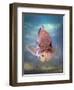 A Largemouth Bass Faces Off with the Underwater Photographer-Stocktrek Images-Framed Photographic Print