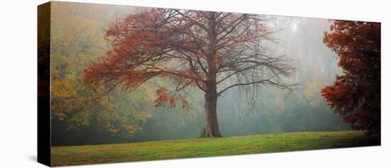 A Late Autumn Morning-Katya Horner-Stretched Canvas