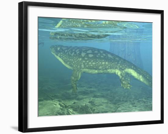 A Late Devonian Period Ichthyostega Submerged in a Floodplain-Stocktrek Images-Framed Photographic Print