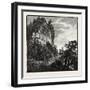 A Laurentian Bluff, Canada, Nineteenth Century-null-Framed Giclee Print