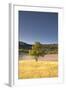 A Lavender Field Near to Apt, Vaucluse, Provence, France, Europe-Julian Elliott-Framed Photographic Print