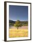 A Lavender Field Near to Apt, Vaucluse, Provence, France, Europe-Julian Elliott-Framed Photographic Print