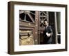 A Lawyer Leaving the Courthouse, Santiago, Chile, South America-Aaron McCoy-Framed Photographic Print