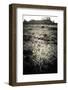 A Layer of Mud Dries Then Cracks under a Desert Throughout the West - Moab, Utah-Dan Holz-Framed Photographic Print