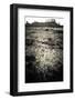 A Layer of Mud Dries Then Cracks under a Desert Throughout the West - Moab, Utah-Dan Holz-Framed Photographic Print