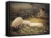 A Lazy Day-Kevin Dodds-Framed Stretched Canvas