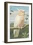 A Leadbetter's Cockatoo (W/C)-Henry Stacey Marks-Framed Giclee Print