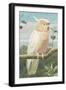 A Leadbetter's Cockatoo (W/C)-Henry Stacey Marks-Framed Giclee Print