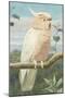 A Leadbetter's Cockatoo (W/C)-Henry Stacey Marks-Mounted Giclee Print