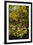 A Leaded Glass Window of a Woodland Scene-Tiffany Studios-Framed Giclee Print