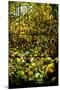 A Leaded Glass Window of a Woodland Scene-Tiffany Studios-Mounted Giclee Print