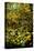 A Leaded Glass Window of a Woodland Scene-Tiffany Studios-Stretched Canvas