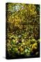 A Leaded Glass Window of a Woodland Scene-Tiffany Studios-Stretched Canvas