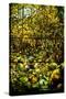 A Leaded Glass Window of a Woodland Scene-Tiffany Studios-Stretched Canvas