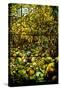 A Leaded Glass Window of a Woodland Scene-Tiffany Studios-Stretched Canvas