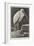 A Learned Judge (Tantalus Stork)-Henry Stacey Marks-Framed Giclee Print