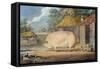 A Leicester Sow, 2 Years Old, the Property of Samuel Wiley-William Henry Davis-Framed Stretched Canvas