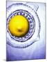 A Lemon Half on a Juicer-Wolfgang Usbeck-Mounted Photographic Print