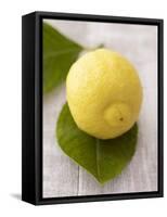 A Lemon with Leaves-Marc O^ Finley-Framed Stretched Canvas